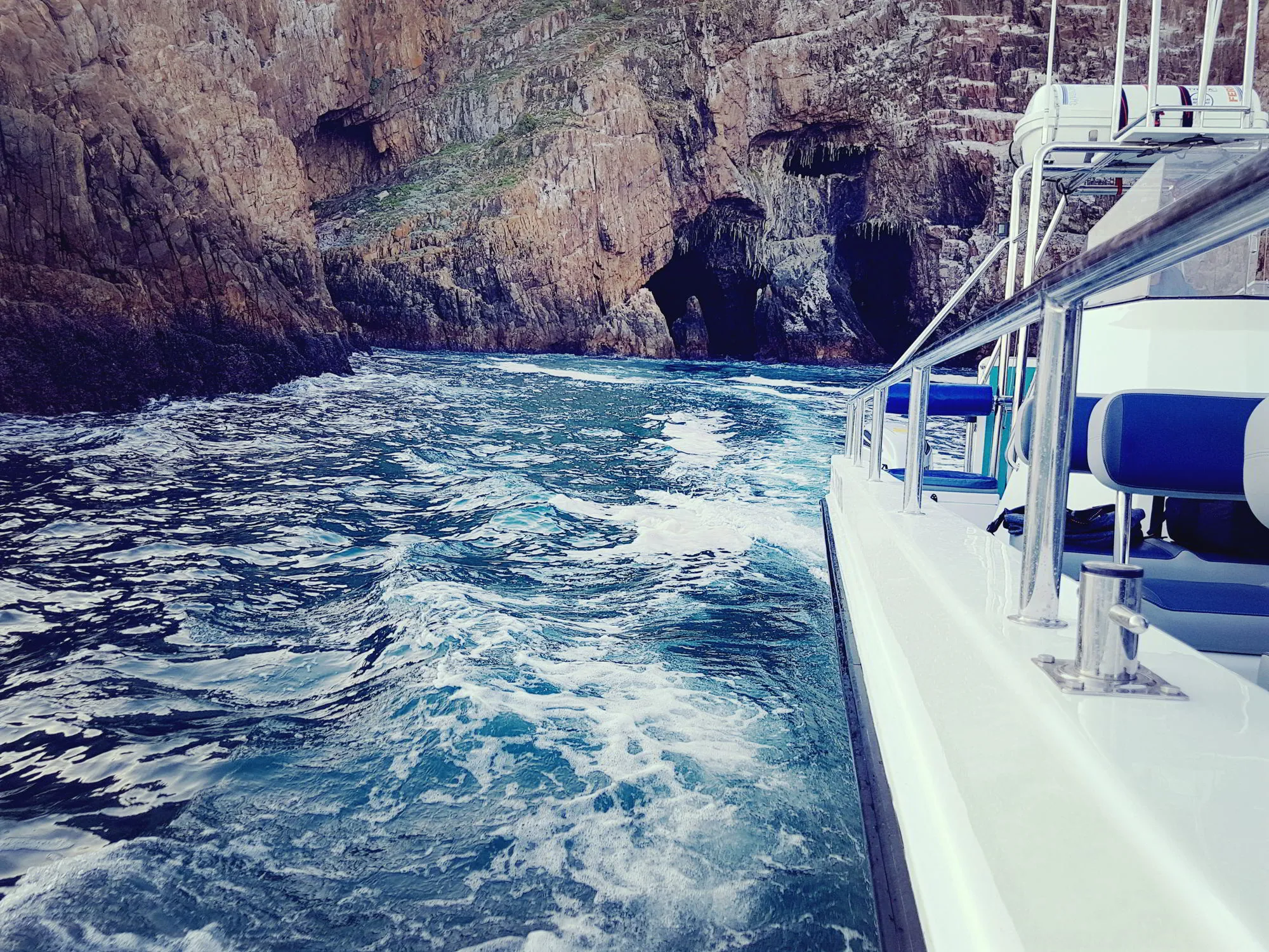 Marine Eco Tour Knysna Garden Route