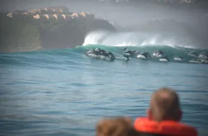 Marine Eco Tour Knysna Garden Route