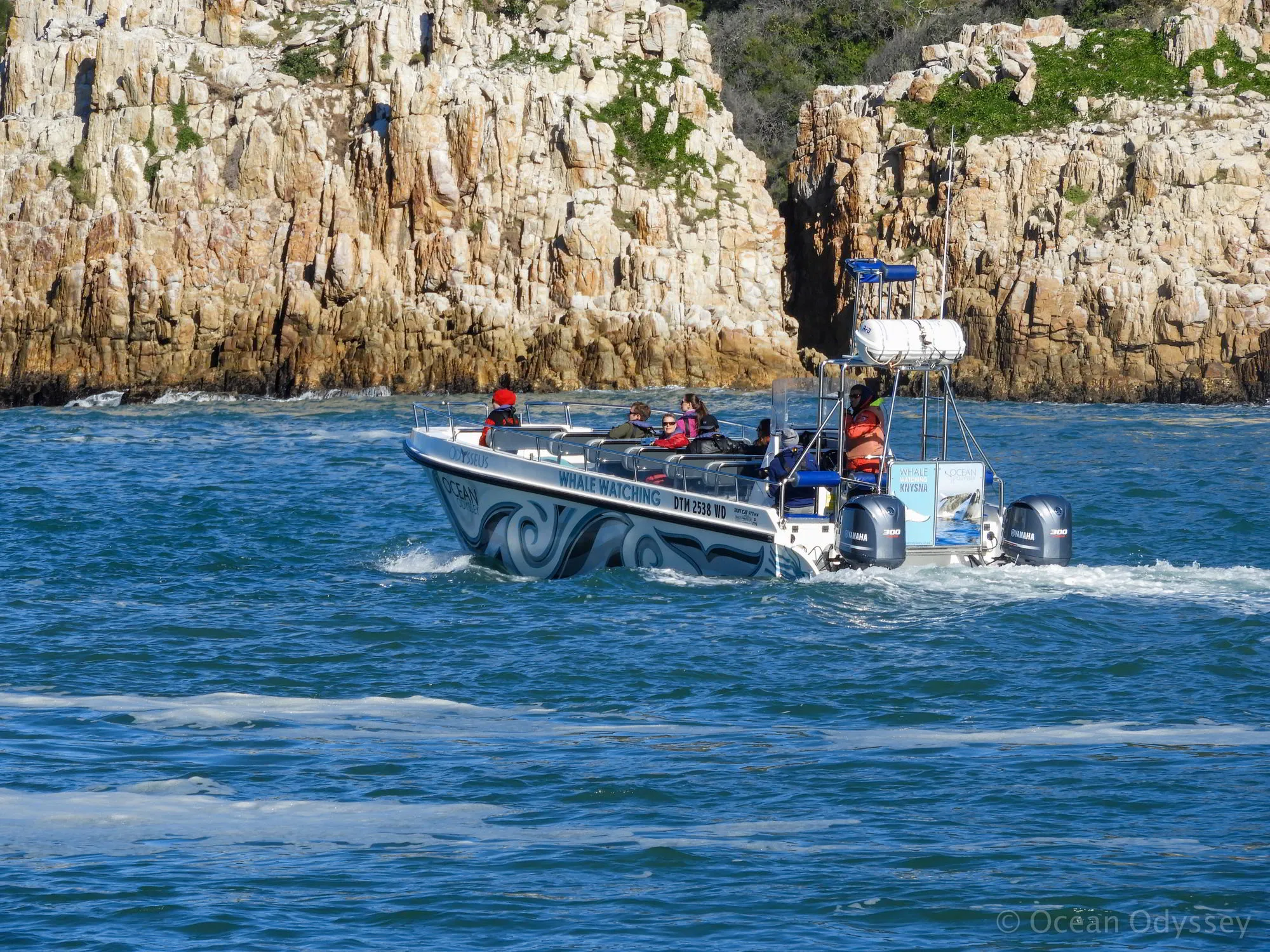 Marine Eco Tour Knysna Garden Route