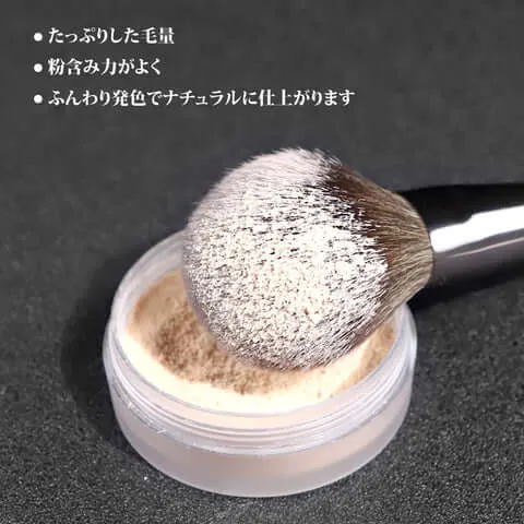 Master Series Makeup Brush 11 Pcs Set