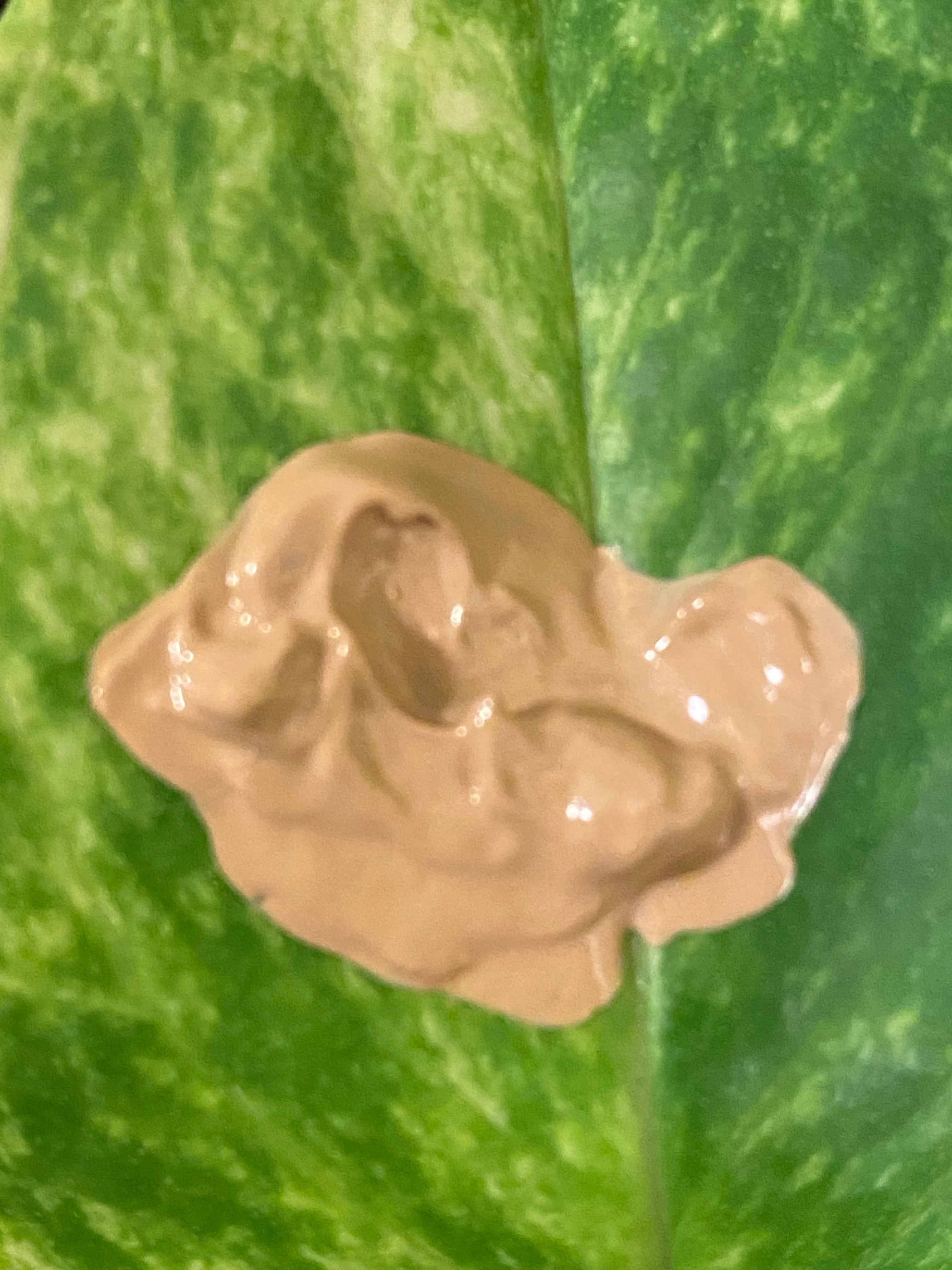 Medium Mineral Sheer TInt