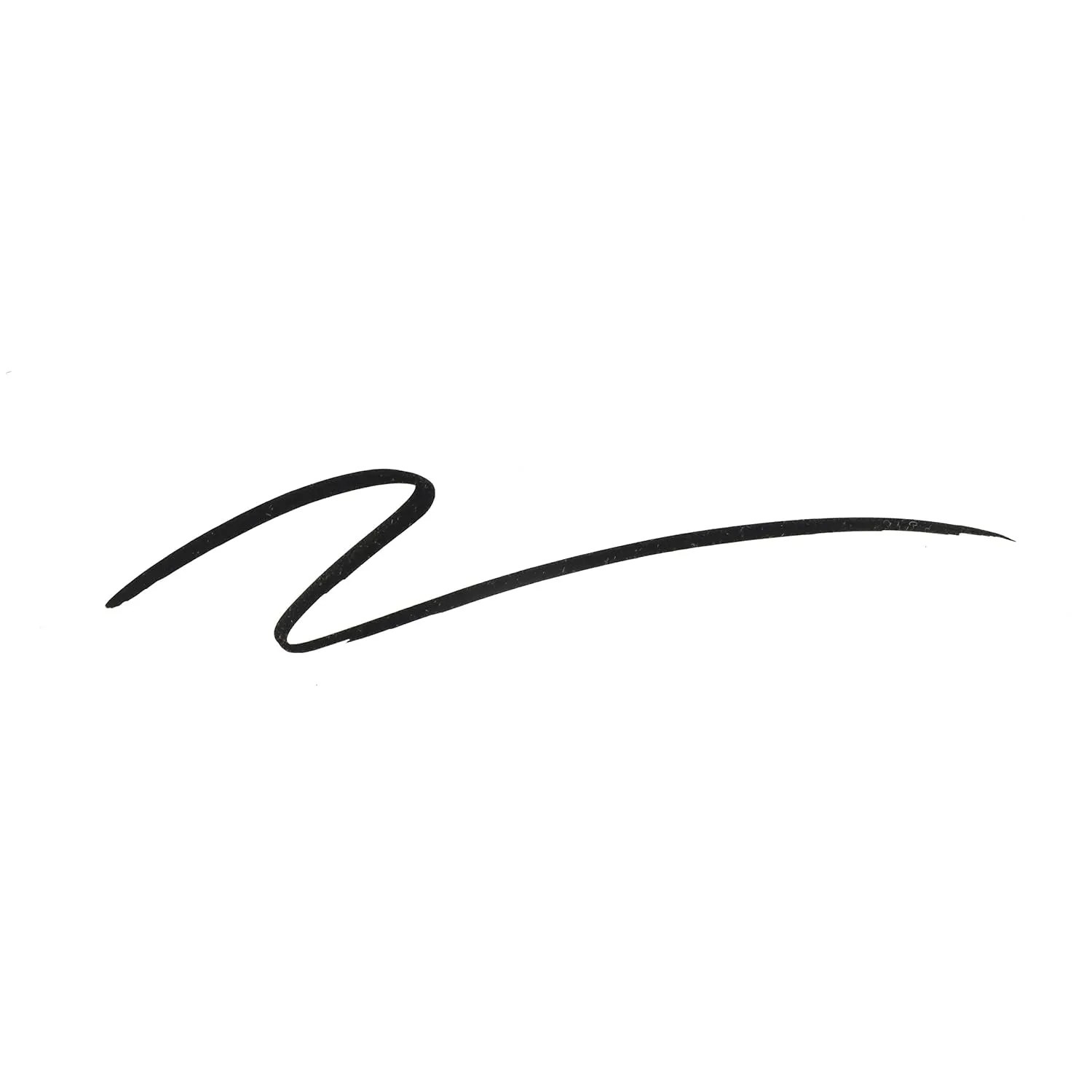 Mega Last Breakup Proof Liquid Eyeliner - Ultra-Fine Brush, Waterproof, 16-Hour Long-Lasting Wear- Cruelty-Free & Vegan - Black