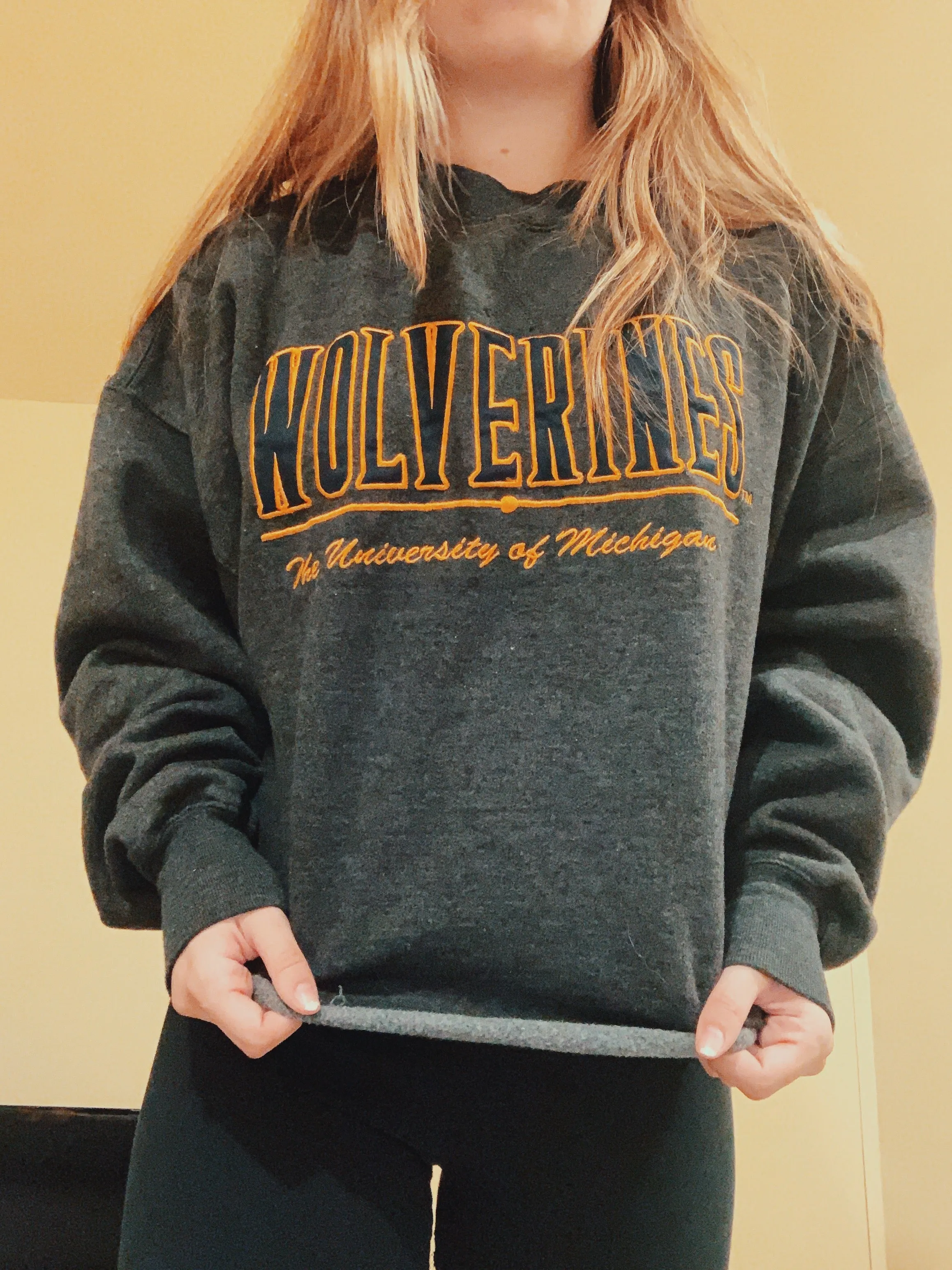 Michigan Vintage