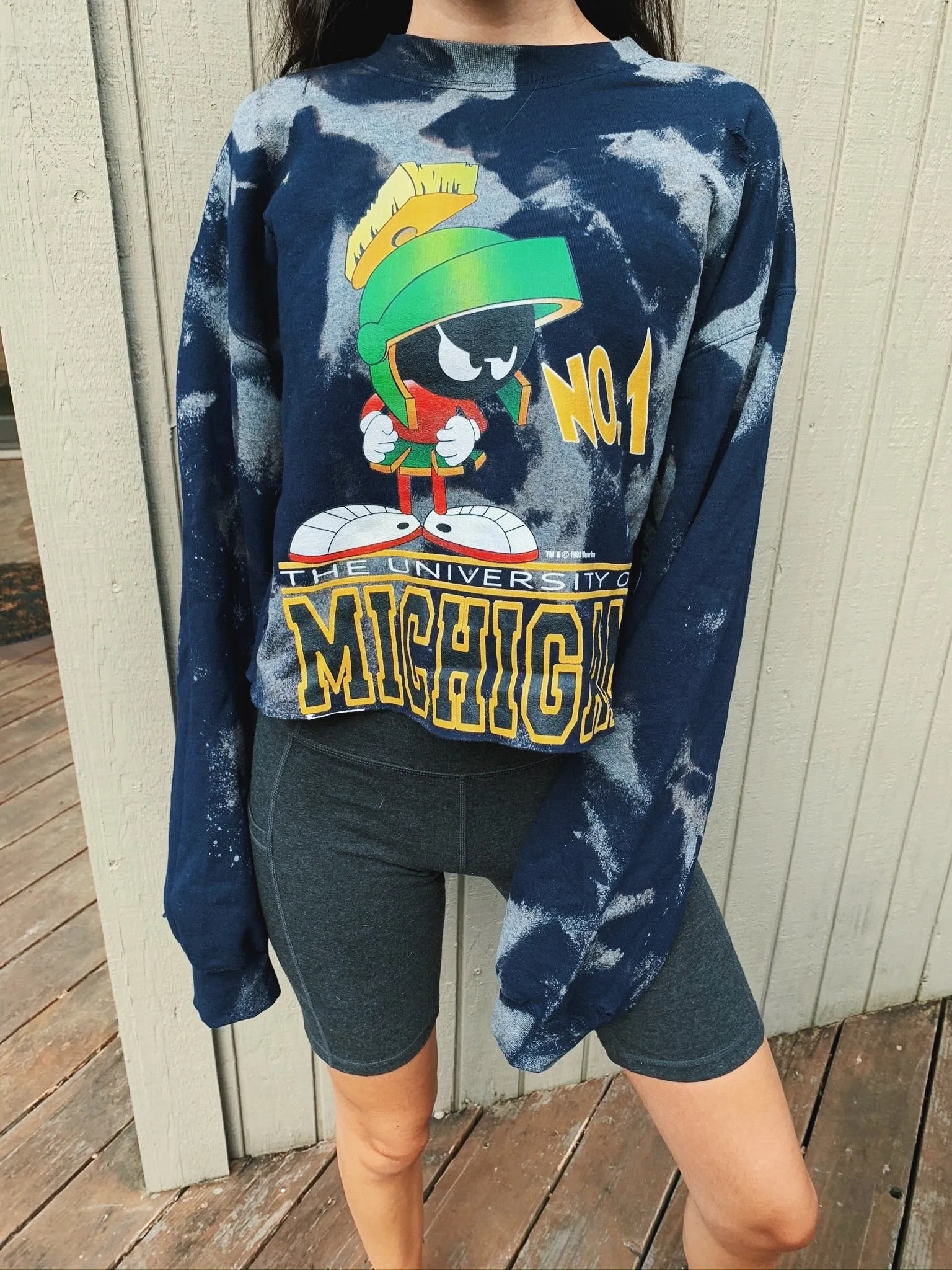Michigan Vintage