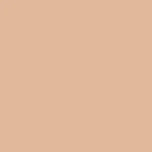 MooGoo Makeup Earth Cream Tinted Moisturiser SPF5 50mL