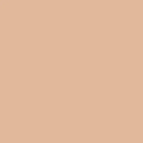 MooGoo Makeup Earth Cream Tinted Moisturiser SPF5 50mL