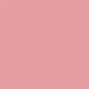 MooGoo Makeup Mineral Blush 15g