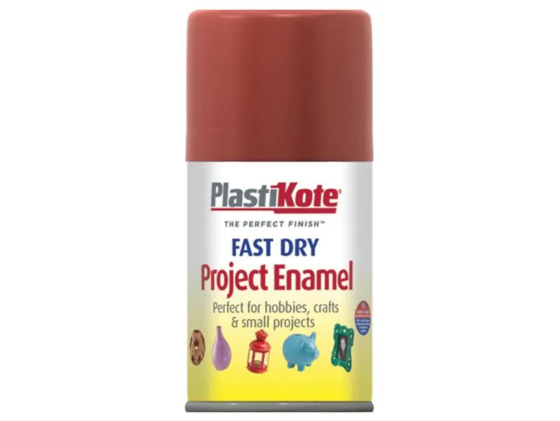 Plastikote Fast Dry Enamel Aerosol Nut Brown 100Ml