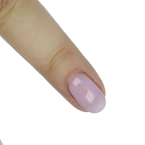 Presto #097