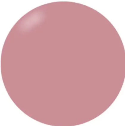 Presto #205