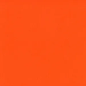 "FLAME" MATTE EYESHADOW