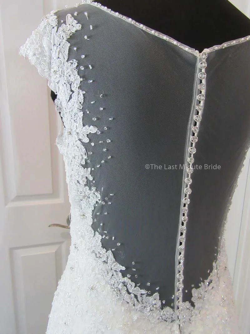 Sophia Tolli Caracara Y11555