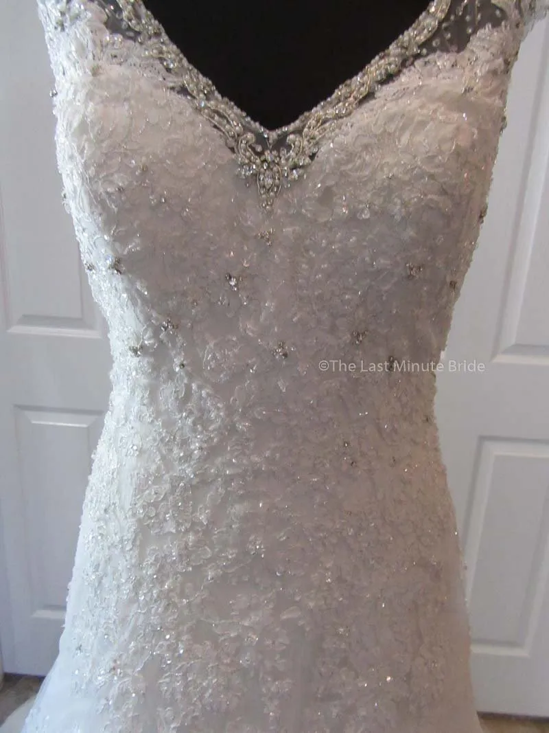 Sophia Tolli Caracara Y11555