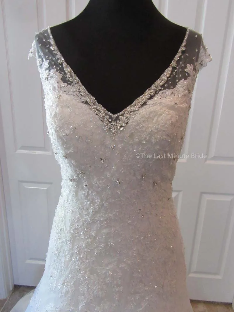 Sophia Tolli Caracara Y11555