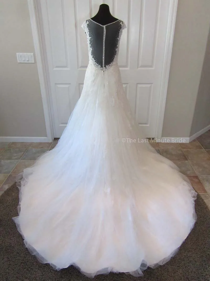 Sophia Tolli Caracara Y11555