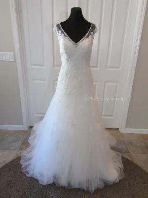 Sophia Tolli Caracara Y11555