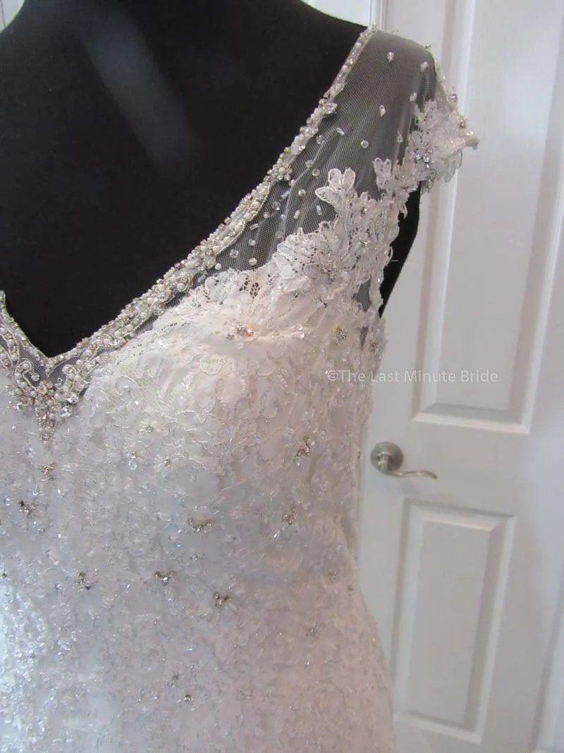 Sophia Tolli Caracara Y11555