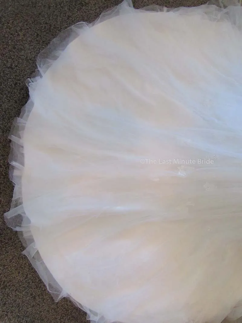Sophia Tolli Caracara Y11555