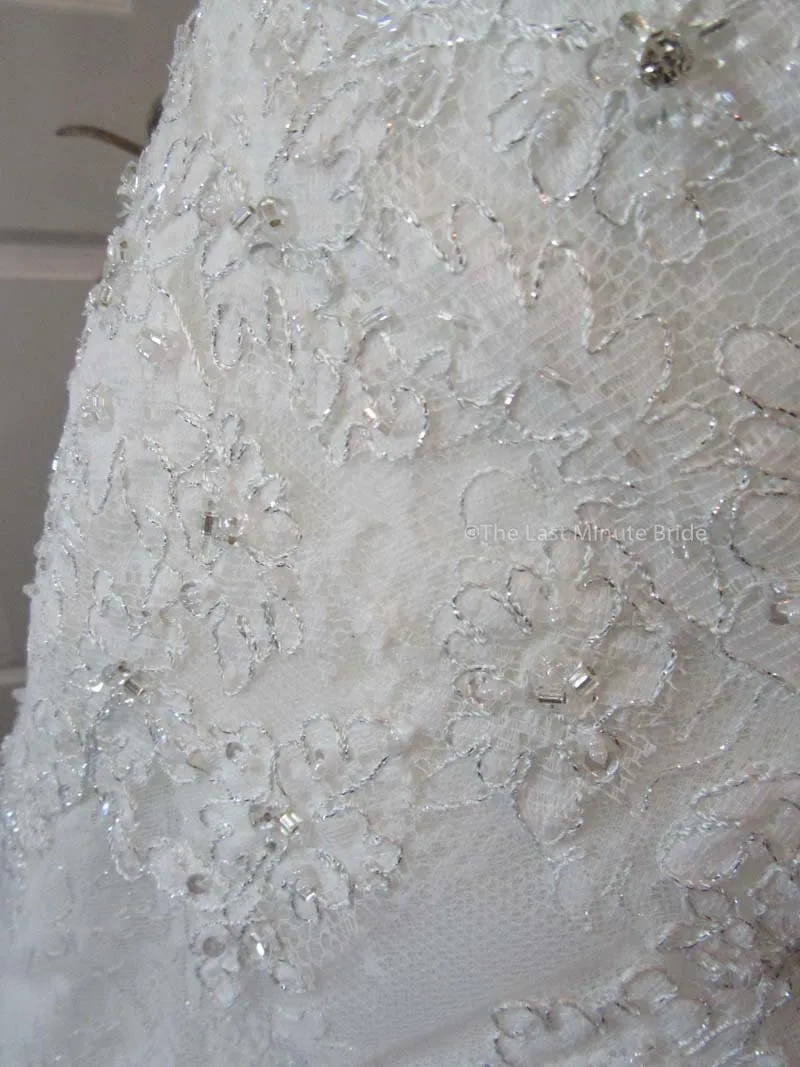 Sophia Tolli Caracara Y11555