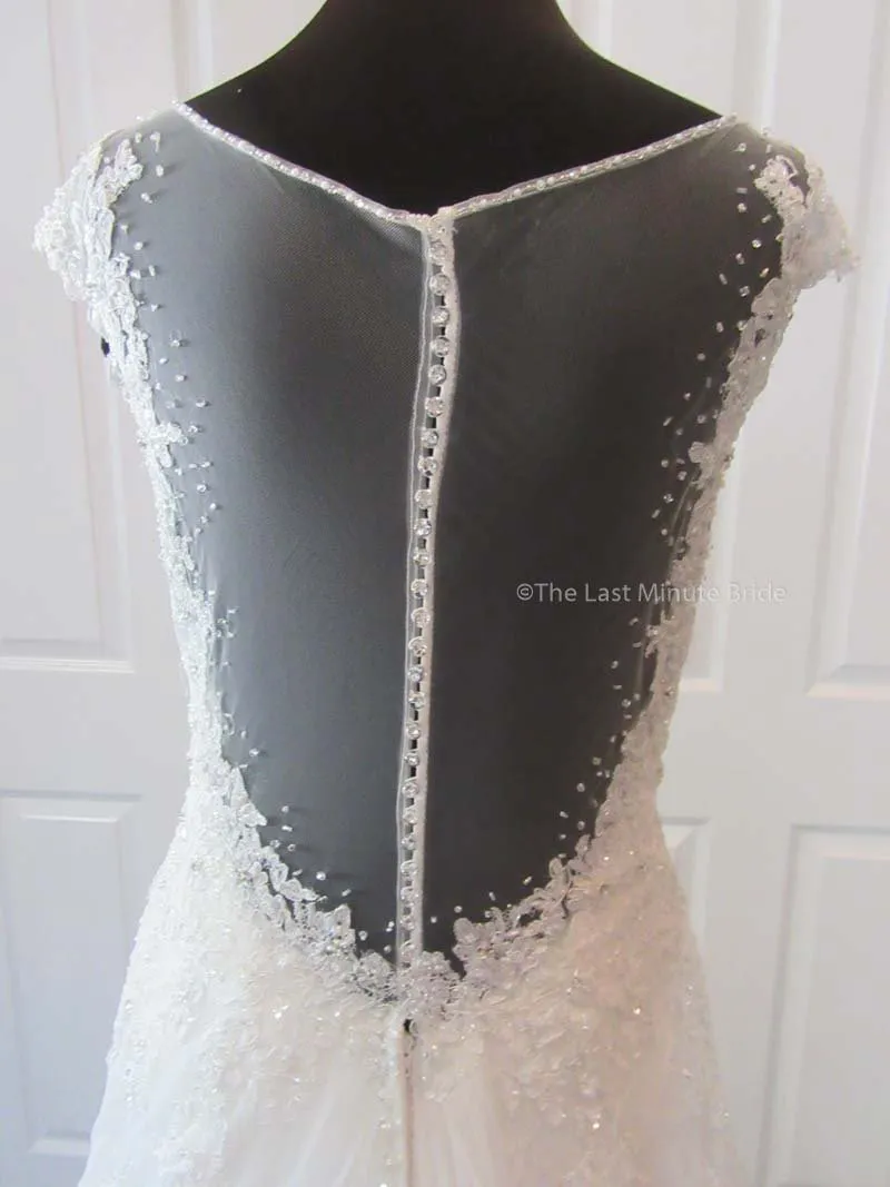 Sophia Tolli Caracara Y11555