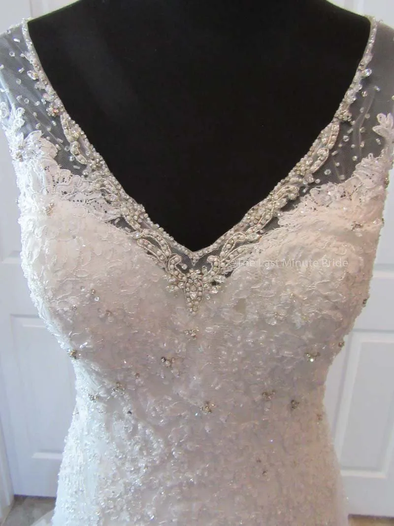 Sophia Tolli Caracara Y11555