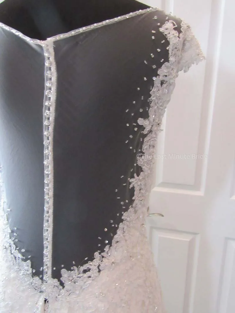Sophia Tolli Caracara Y11555