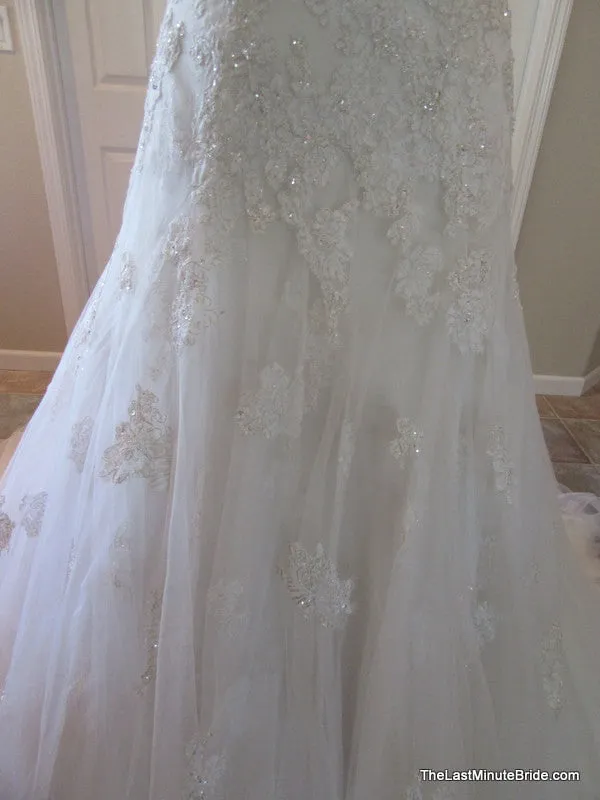 Sophia Tolli Y11555 Caracara