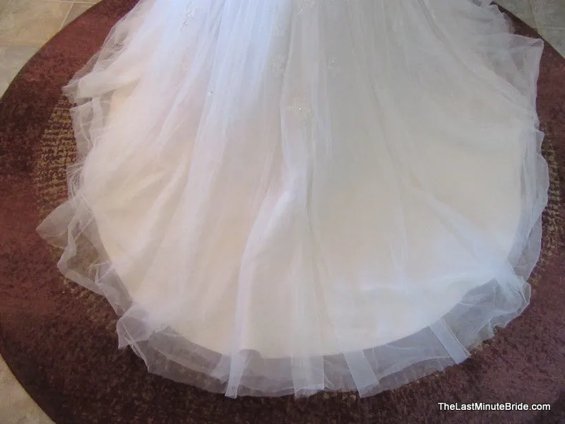 Sophia Tolli Y11555 Caracara
