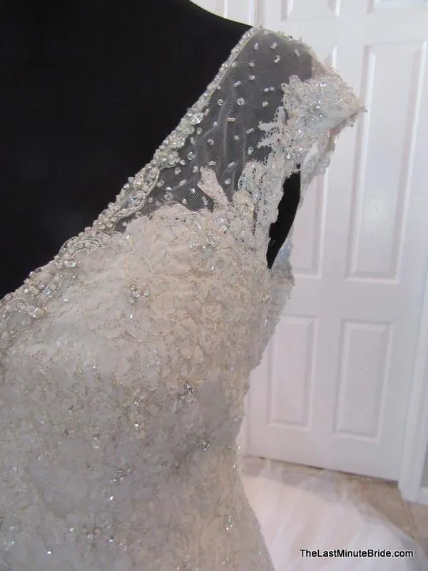 Sophia Tolli Y11555 Caracara