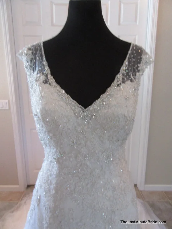 Sophia Tolli Y11555 Caracara