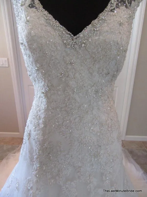 Sophia Tolli Y11555 Caracara