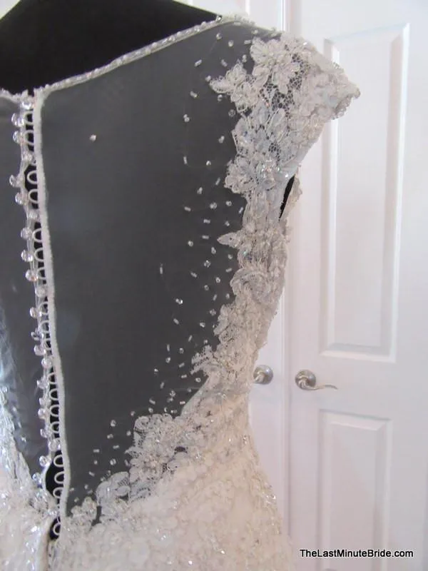 Sophia Tolli Y11555 Caracara