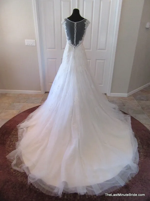 Sophia Tolli Y11555 Caracara