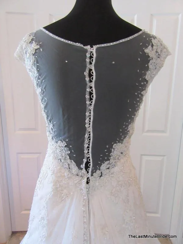 Sophia Tolli Y11555 Caracara