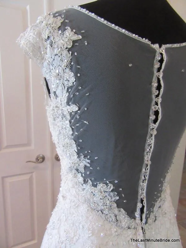 Sophia Tolli Y11555 Caracara
