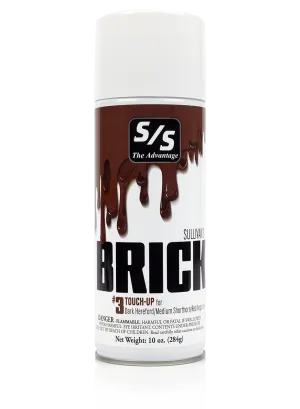 Sullivans brick touch up