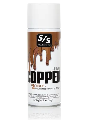 Sullivans copper touch up