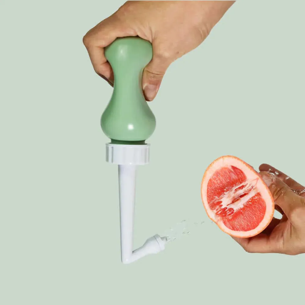 The Fanny Flusher