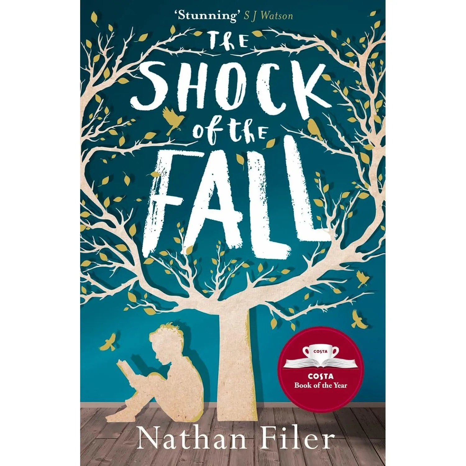 The Shock of the Fall: WINNER OF THE COSTA BOOK OF THE YEAR 2013 by Nathan Filer