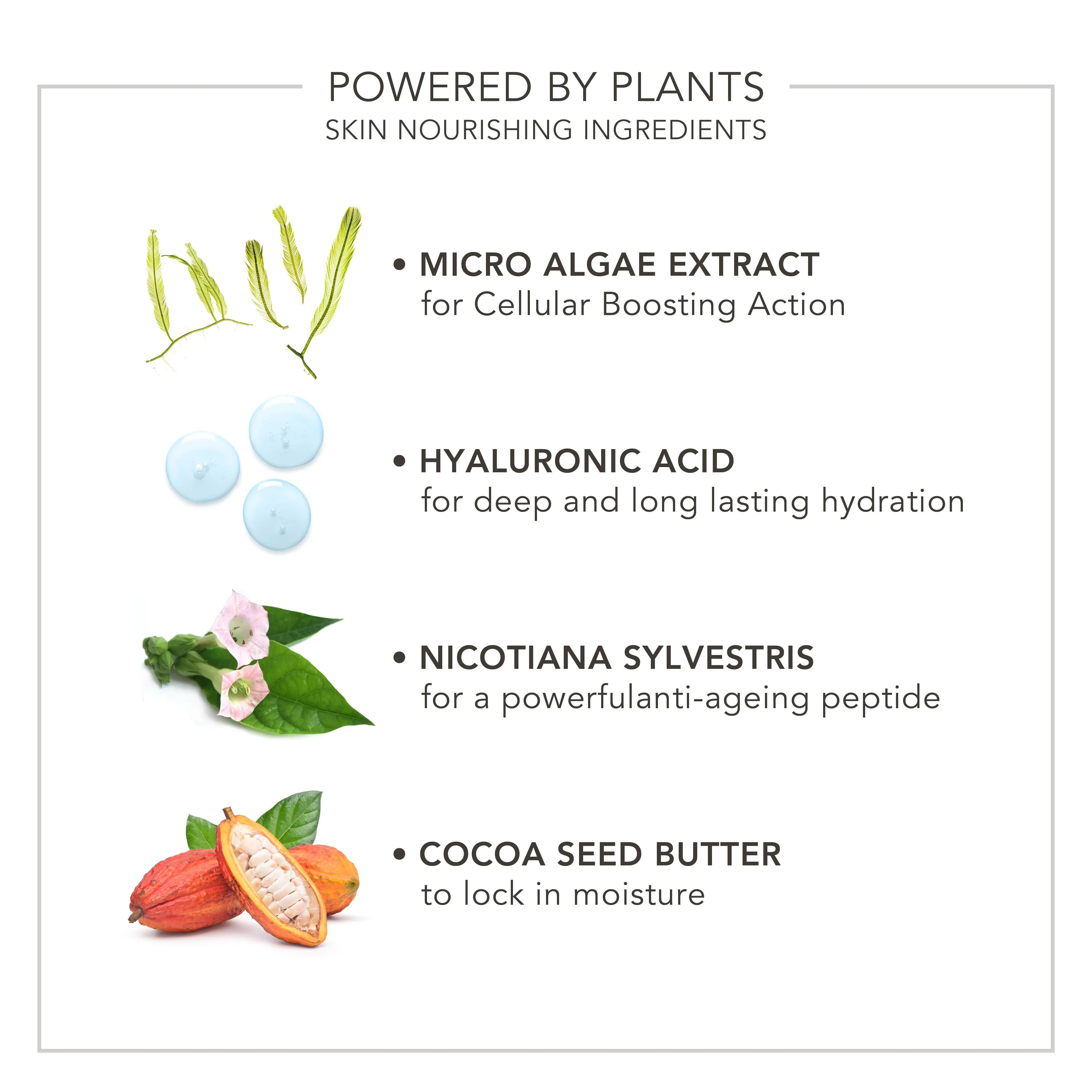 Wake Up | Radiant Eye Perfector