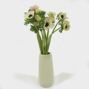 Windflowers | Anemones Flowers